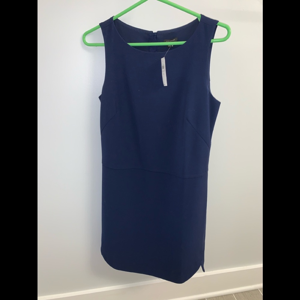 Ann Taylor Dress